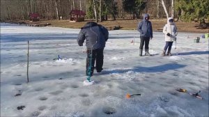 Рыбалка на верхнем водоёме. Клёвое место, Лосиный остров.