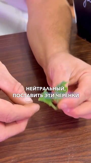 Формировка огурцов для урожая. Как черенковать и пасынковать огурцы в огороде на подоконнике.