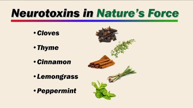 Nature’s Force Natural Fly Repellent смотреть онлайн