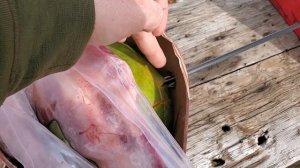 Ek Archery Siege 300 Crossbow (armbrust) Test.