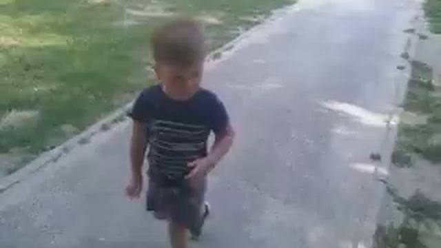 Собака Подружка во дворе Смирновского переулка 139 в Таганроге Июль 2020 года смотреть онлайн