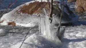 29.01.2020 год.‬