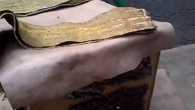 Ловушки для пчёл смотреть онлайн