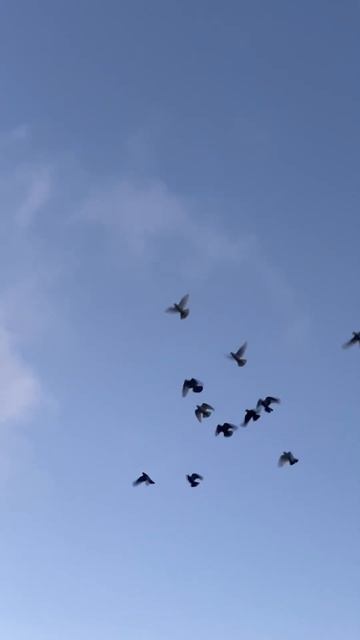 29 декабря 2023 г. смотреть онлайн