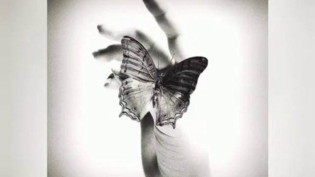 Florinda ci regala il messaggio di Moreno ❤️ смотреть онлайн