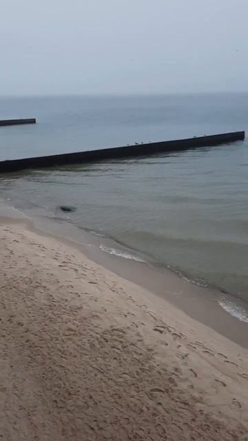 Море Море Зеленоградск смотреть онлайн