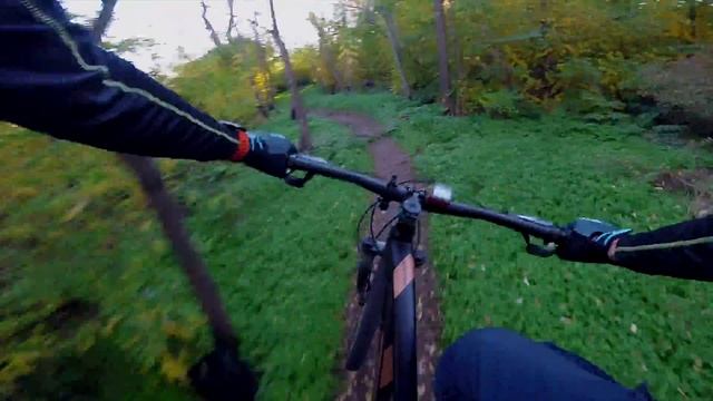 17/10/2018 Катнули с Тедом / We rolling with Ted