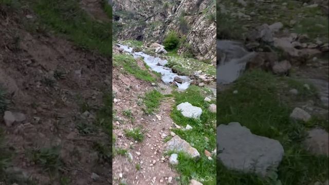 Таджикистан 🇹🇯 поездка в камароб с братьями🫂 Горы,свежий воздух,реки,чукри,гулмахи,братские круги🫶 смотреть онлайн