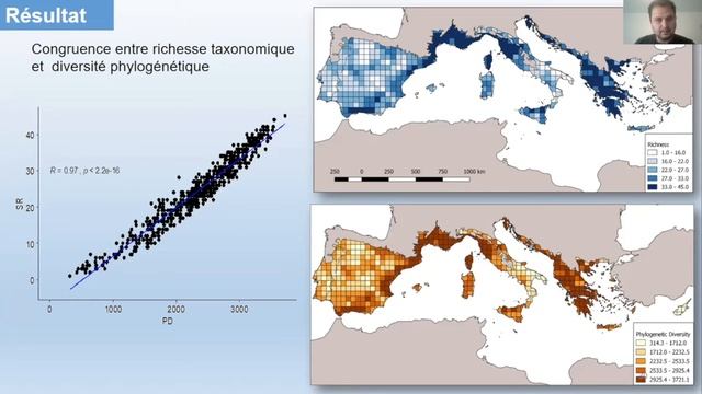 Phylogénie de la flore arborée forestière d’Europe méditerranéenne et évaluation de sa vulnérabilit смотреть онлайн