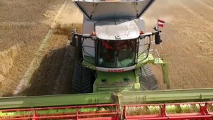 Уборка зерна комбайном