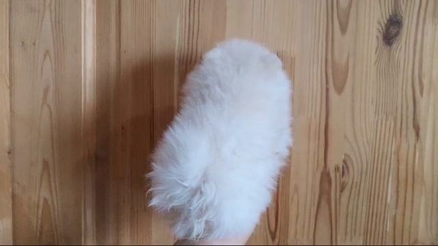 VID-20250308-WA0005 смотреть онлайн