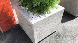 Монтируем искусственные туи