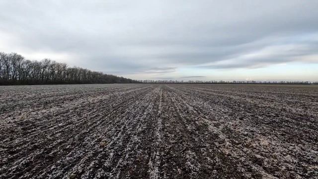 Охота на Зайца Русака в Полях Кубани.Сезон 23-24 . Поле не пуганых Косых. смотреть онлайн