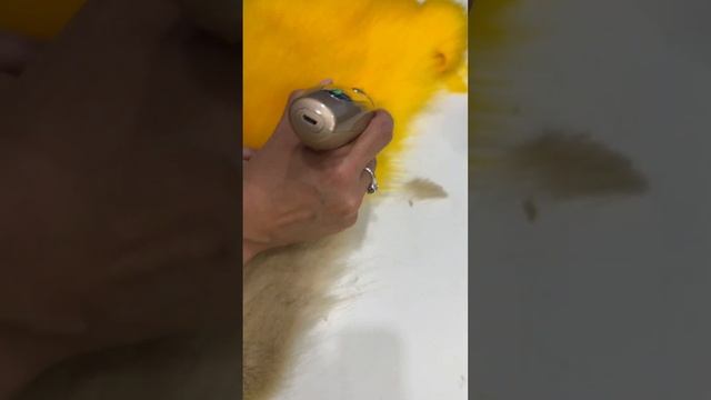 КАК СТРИЧЬ МЕХ ⁉️ Какая основа у песца 4 и 6 см‼️ смотреть онлайн