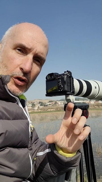 GRABAR AVES EN VUELO