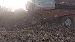 Вектор 410 уборка кукурузы 2020