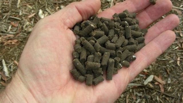 CAVOLI MERAVIGLIOSI | 7 Regole d'Oro per Coltivare il cavolo nel tuo Orto смотреть онлайн