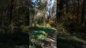 Степана потеряли в лесу. арбуз. лук. масло ростовской купили. 29.09.2021
