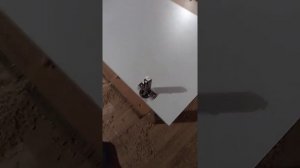 Врезка петель на фасад кухонного гарнитура