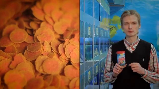Tetra Pro Colour Crisps Renk Canlandırıcı Tropikal Balık Yemi смотреть онлайн