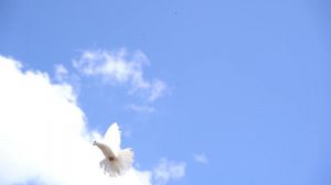 Юлия Гаврилова : Любовь моя - Россия