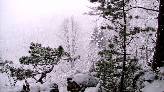 Снег