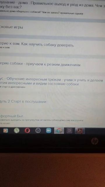 Онлаин курсы по  дрессировке. Или чем занимаемся в свободное время