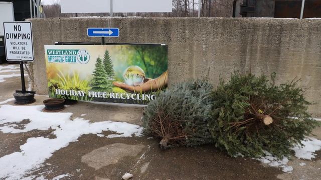 Mission: Green TV - Holiday Tree Recycling смотреть онлайн