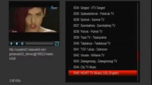 Amiko IPTV Webtv list