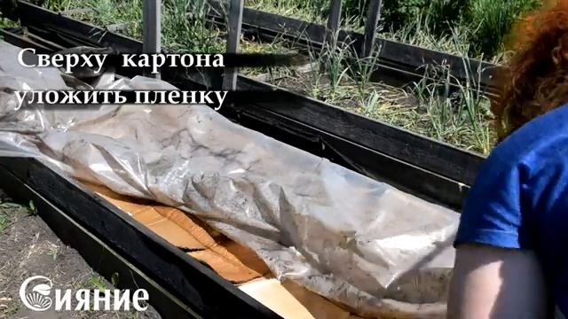 Копать или не копать Часть 1 смотреть онлайн