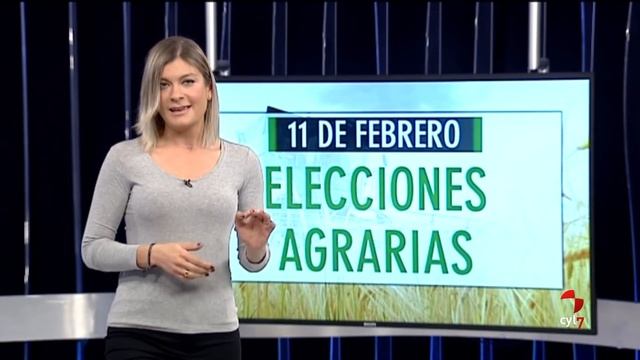 Surcos.- Pautas para la fertilización, Asociación de productores de patata, trufa смотреть онлайн