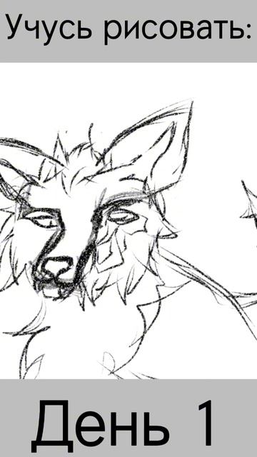 рекомендации youtubeshorts лиса Чернобурка рисование животные