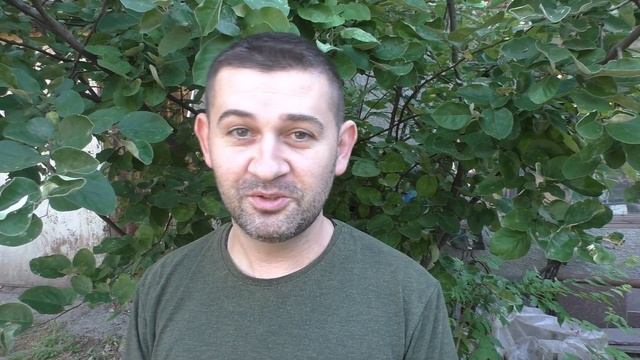 Мошенничество с недвижимостью в Днепре