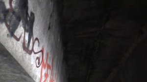 Медведковский метромост