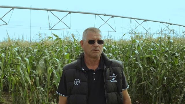 Termelő tapasztalatok a Messenger csemegekukoricával - interjú Hudák Istvánnal смотреть онлайн