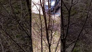 Ворона и кот 2 (сидим на балконе)