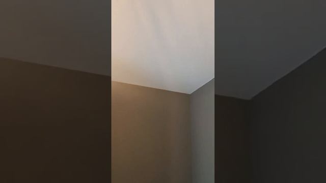 Маршала Говорова , open space 80м2 смотреть онлайн