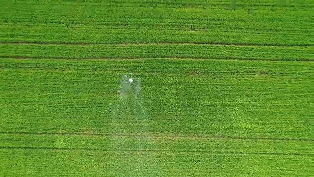 INDIGO DRONES - DJI AGRAS T16 COSTA RICA