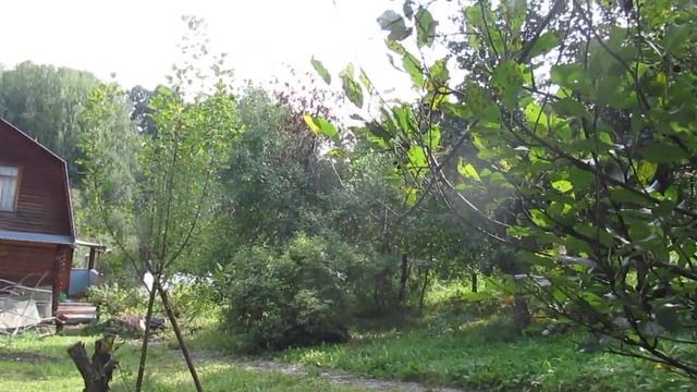 Осыпается