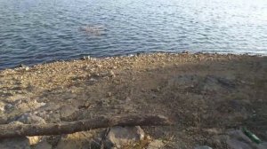 Кальчинское водохранилище  17.11.2019