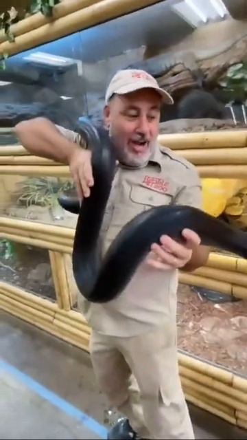 Chandle Wild Life | Something doesn’t make sense here 🤨 #funny #snake #perspective смотреть онлайн