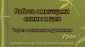 Работа с мышцами спины и шеи через осознанные движения. Терапевтическая сила маленьких движений.