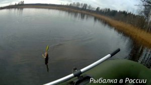 Ловля щуки в ноябре.  Воблеры на щуку . Megabass ITO SHINER ( Ито Шайнер )