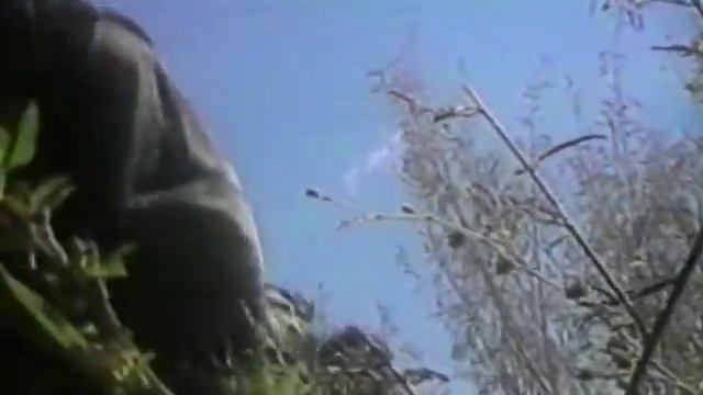 La Patria que Podría Ser - Primera Parte смотреть онлайн