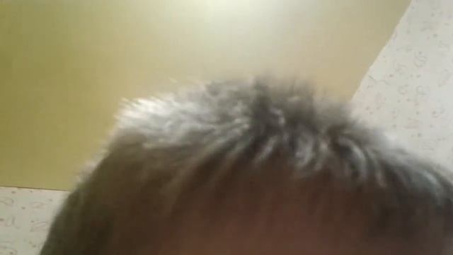 Аниматроники смотреть онлайн