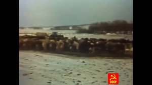 Совхоз Прутской 1991 год