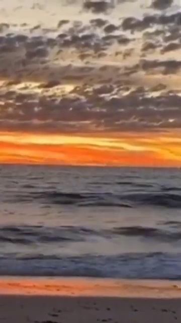 30 июля 2024 г. смотреть онлайн