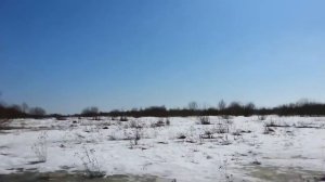 Нива болотоход.  Трэкол.  Нива марш. LADA - БРОНТО EXTREME 4X4