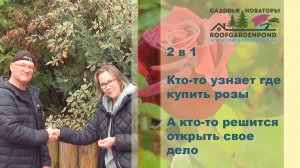Кто-то узнает где купить розы, а кто-то решится открыть свое дело