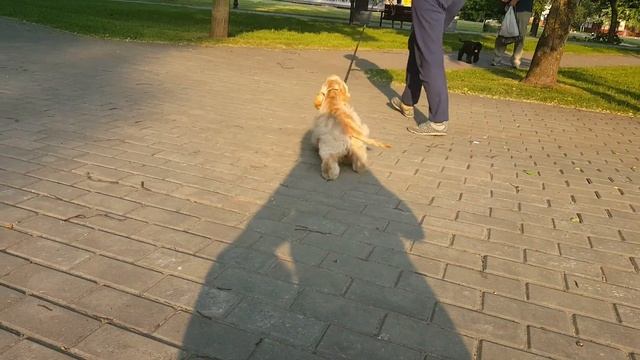 20150607 190733 смотреть онлайн